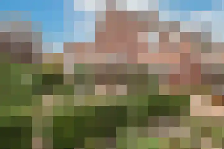 Stroband 2 Wijk bij Duurstede foto 2