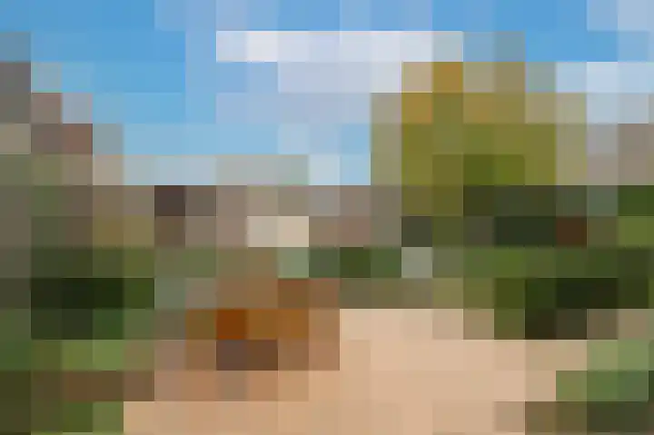 Stroband 2 Wijk bij Duurstede foto 3