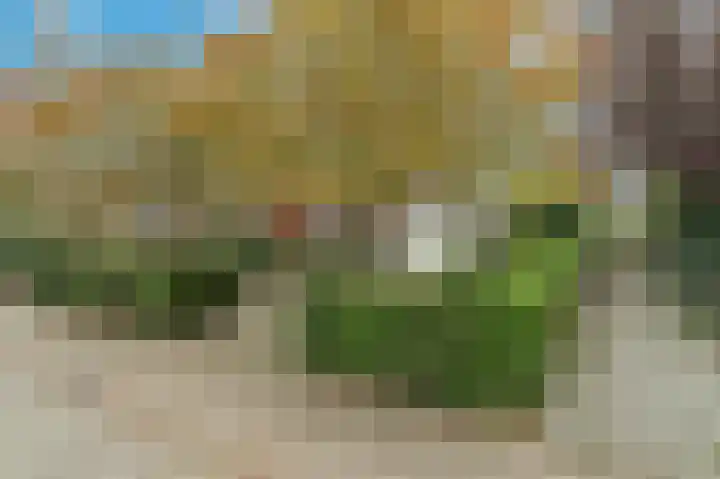Stroband 2 Wijk bij Duurstede thumbnail 34