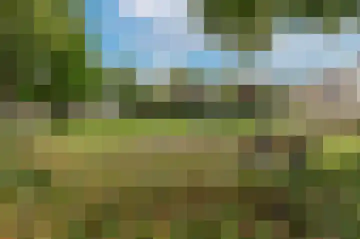 Stroband 2 Wijk bij Duurstede thumbnail 37