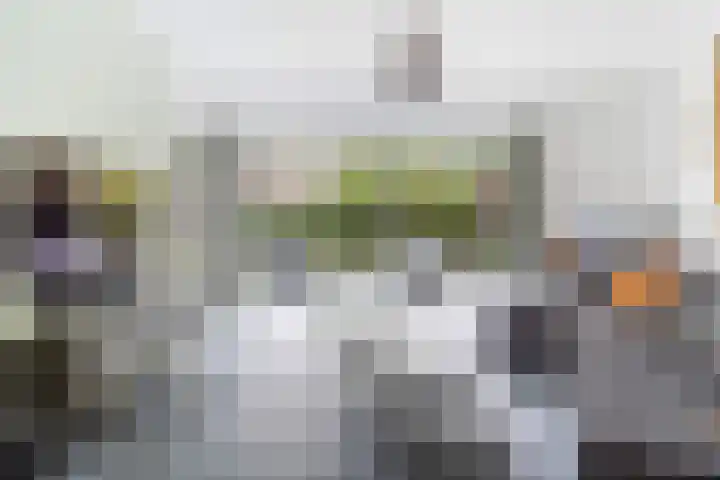 Stroband 21 Wijk bij Duurstede thumbnail 13