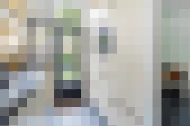 Stroband 21 Wijk bij Duurstede thumbnail 17