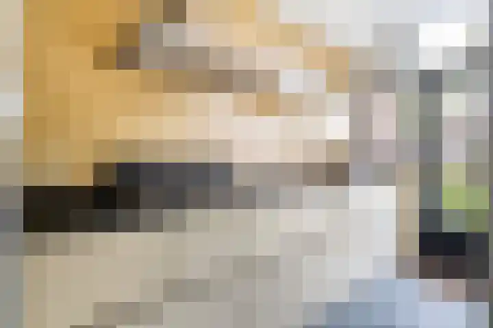 Stroband 21 Wijk bij Duurstede thumbnail 18