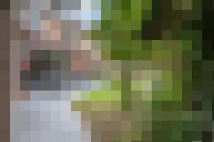 Stroband 21 Wijk bij Duurstede thumbnail 45