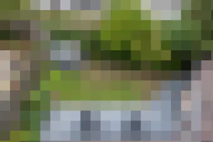 Stroband 21 Wijk bij Duurstede thumbnail 46