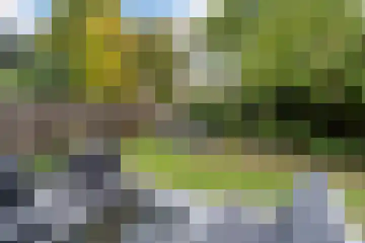 Stroband 21 Wijk bij Duurstede thumbnail 48
