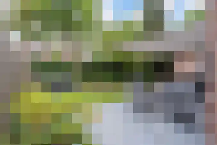 Stroband 21 Wijk bij Duurstede thumbnail 49