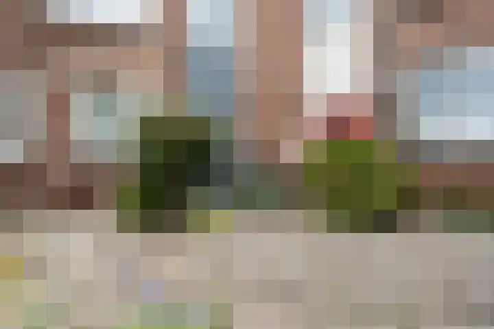 Stroband 21 Wijk bij Duurstede thumbnail 5