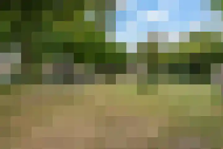 Stroband 21 Wijk bij Duurstede thumbnail 51