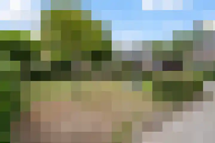Stroband 21 Wijk bij Duurstede thumbnail 52
