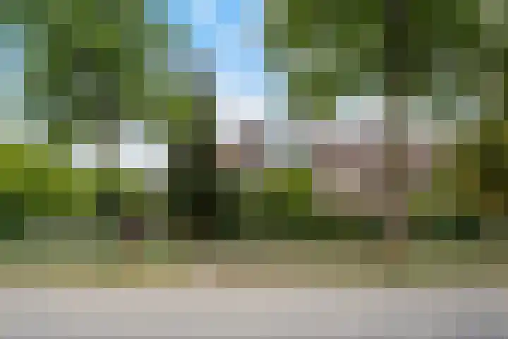 Stroband 21 Wijk bij Duurstede thumbnail 53