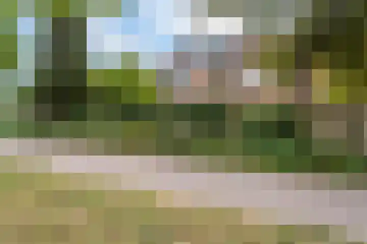Stroband 21 Wijk bij Duurstede thumbnail 54