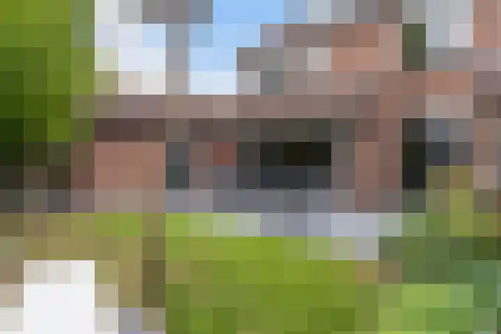 Stroband 21 Wijk bij Duurstede thumbnail 55
