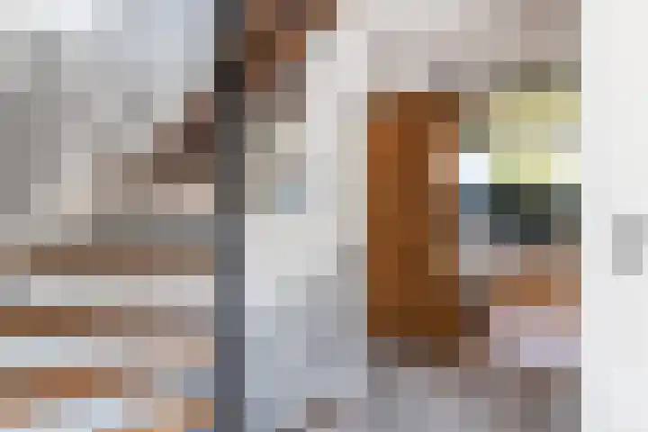 Stroband 36 Wijk bij Duurstede thumbnail 27
