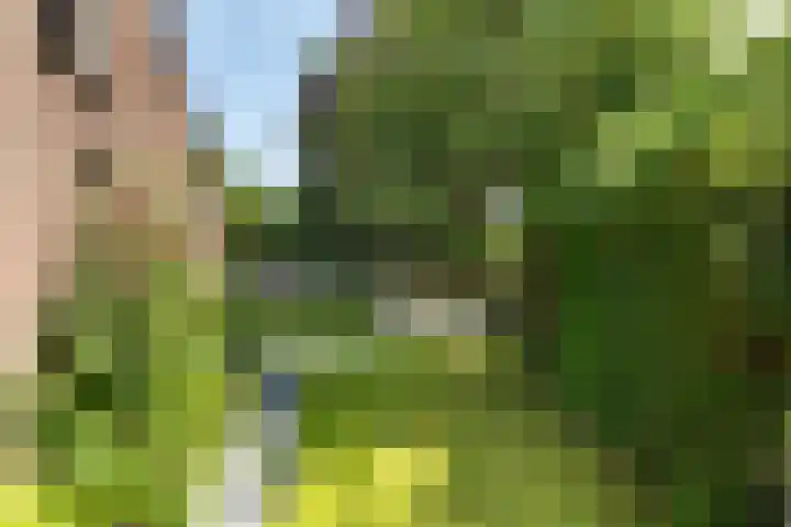 Stroband 36 Wijk bij Duurstede thumbnail 32
