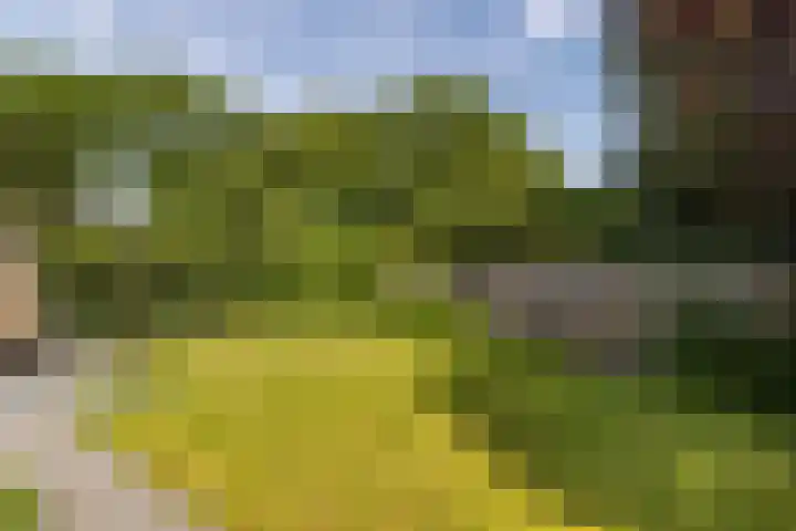 Stroband 36 Wijk bij Duurstede thumbnail 33