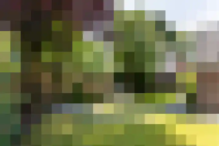 Stroband 36 Wijk bij Duurstede thumbnail 34