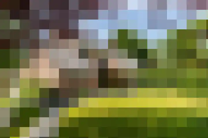 Stroband 36 Wijk bij Duurstede thumbnail 35