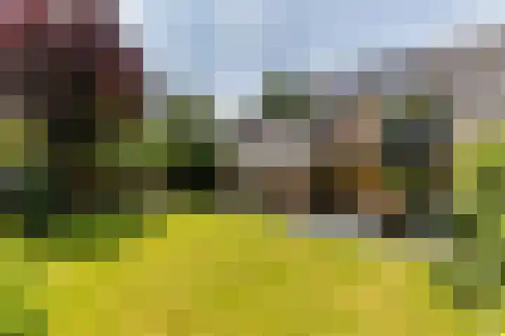 Stroband 36 Wijk bij Duurstede thumbnail 36