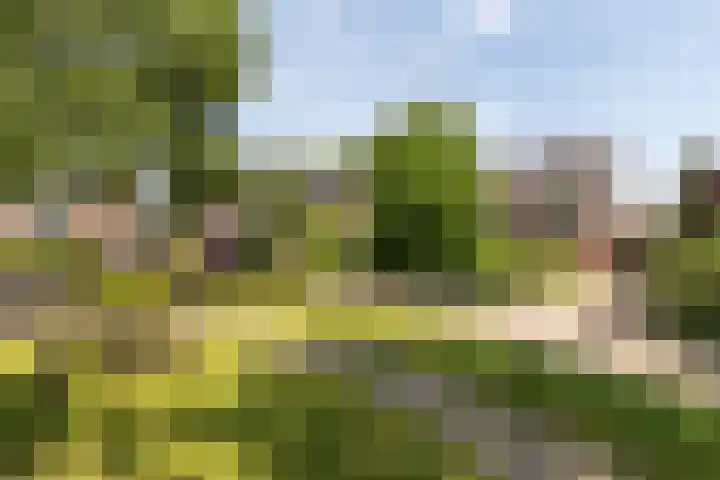 Stroband 36 Wijk bij Duurstede thumbnail 38