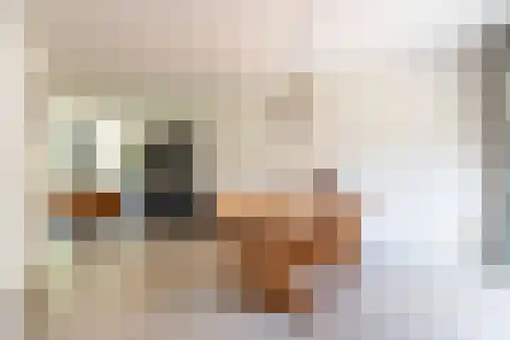 Stroband 36 Wijk bij Duurstede thumbnail 8