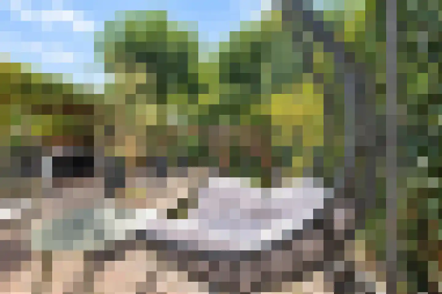 Stroband 37 Wijk bij Duurstede thumbnail 20