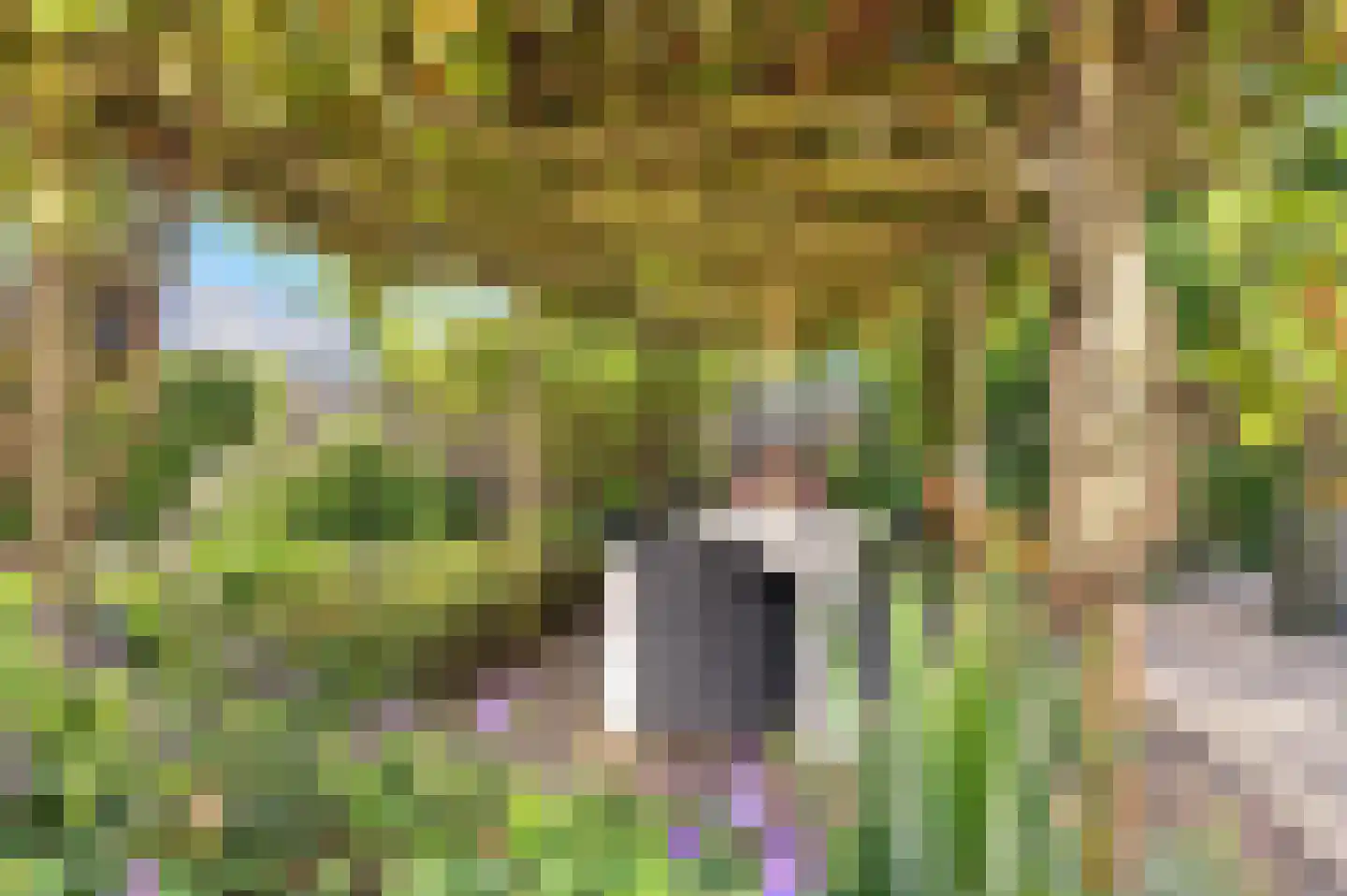 Stroband 37 Wijk bij Duurstede thumbnail 21