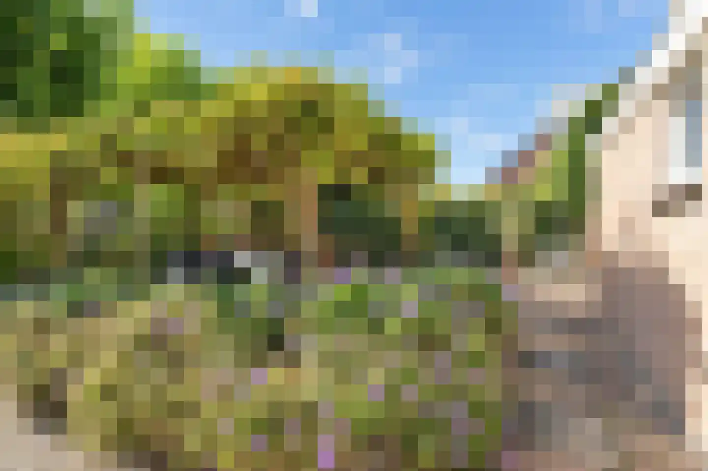 Stroband 37 Wijk bij Duurstede thumbnail 26