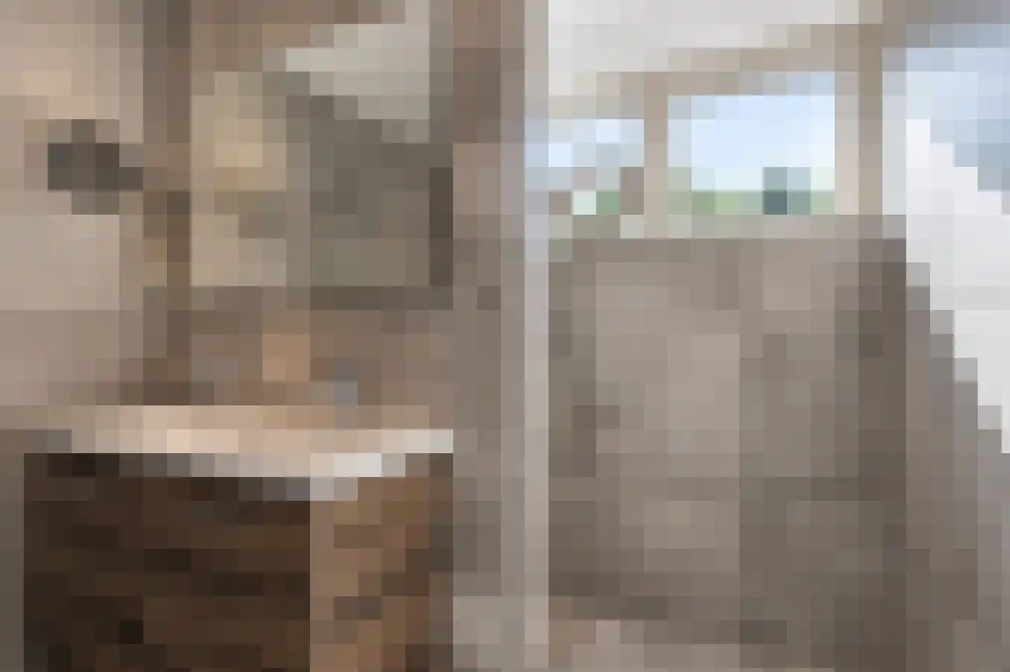 Stroband 37 Wijk bij Duurstede thumbnail 33