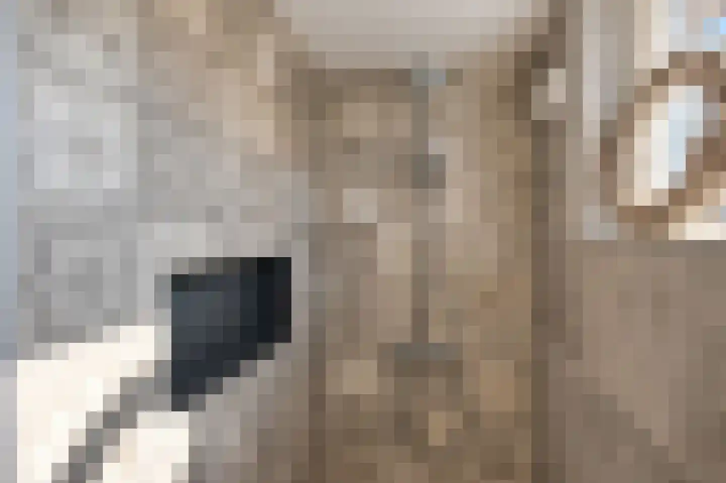 Stroband 37 Wijk bij Duurstede thumbnail 34