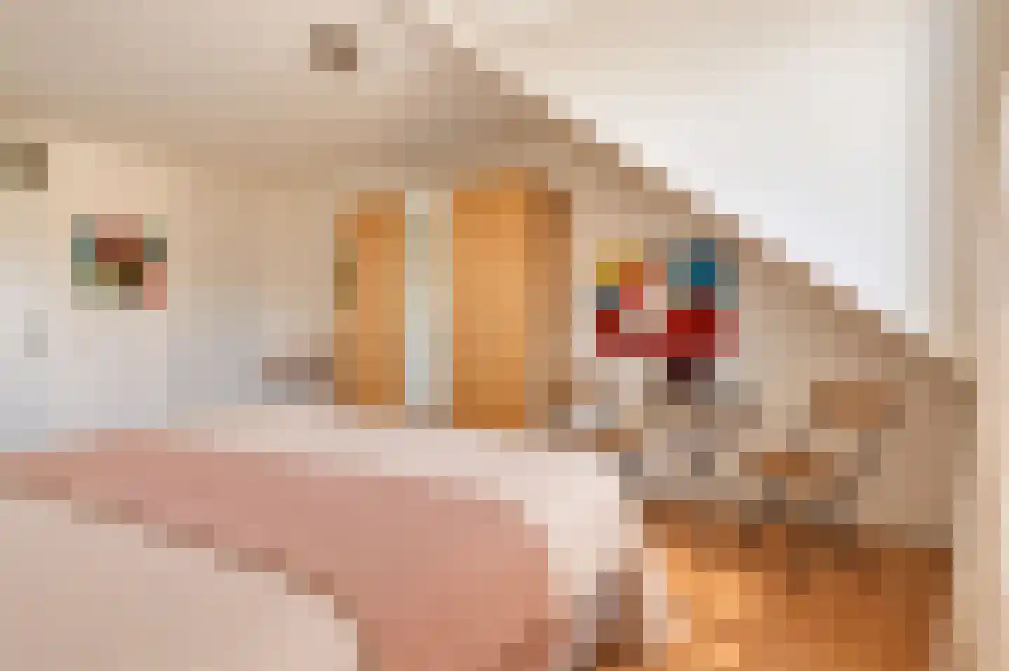Stroband 37 Wijk bij Duurstede thumbnail 37