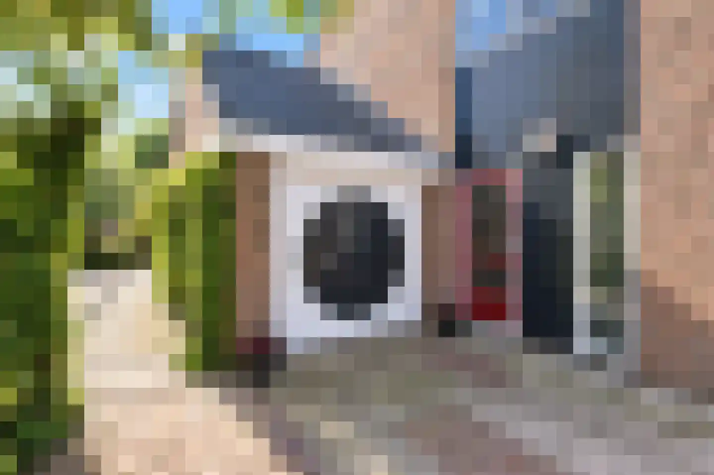 Stroband 37 Wijk bij Duurstede thumbnail 5