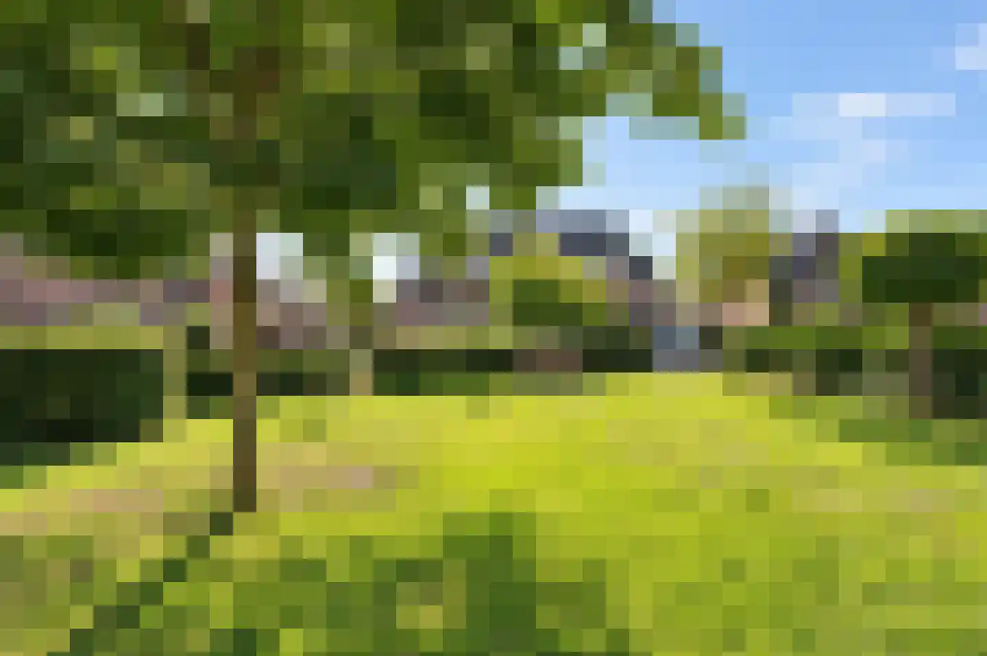 Stroband 37 Wijk bij Duurstede thumbnail 50