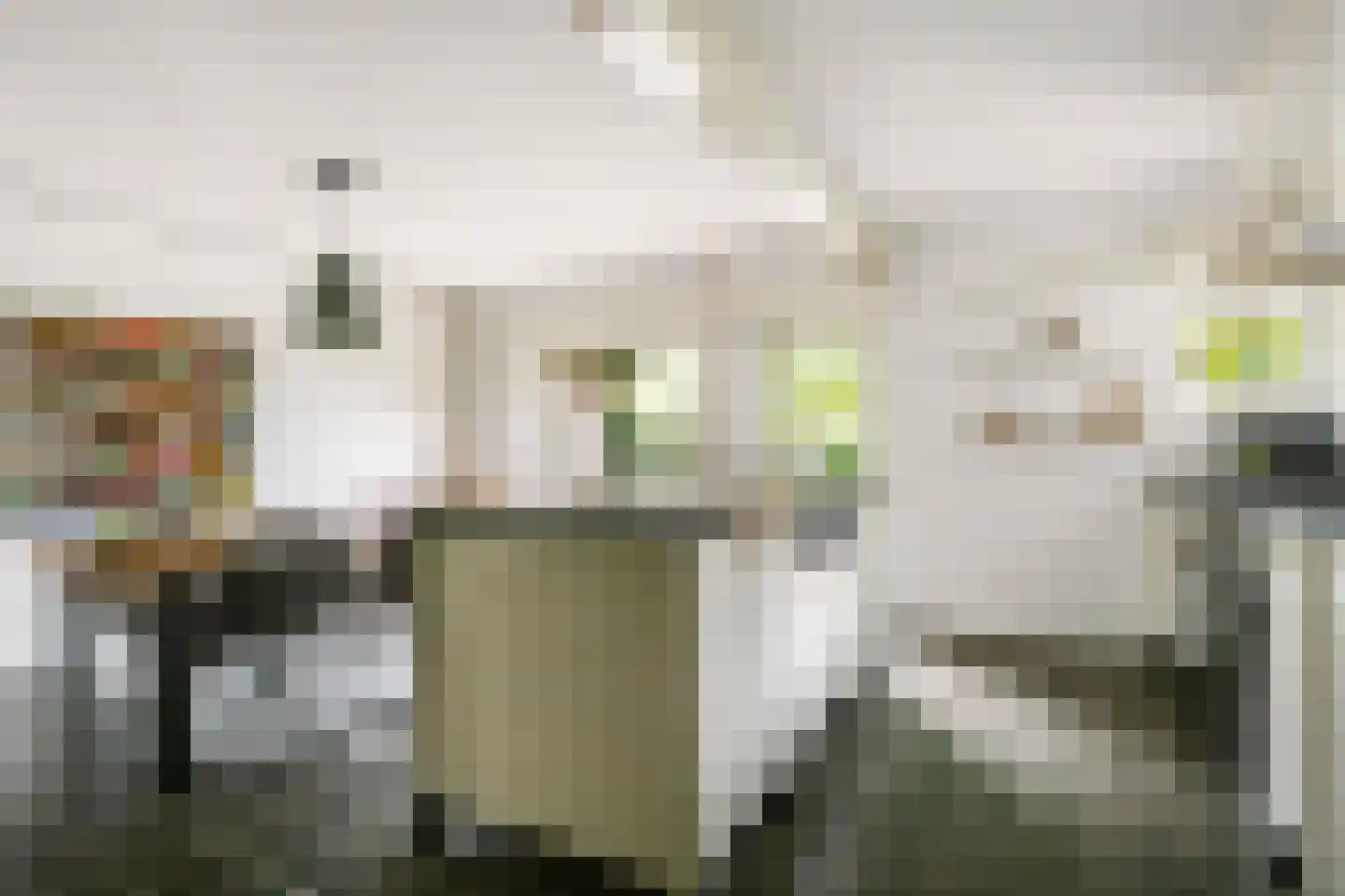 Stroband 38 Wijk bij Duurstede thumbnail 11