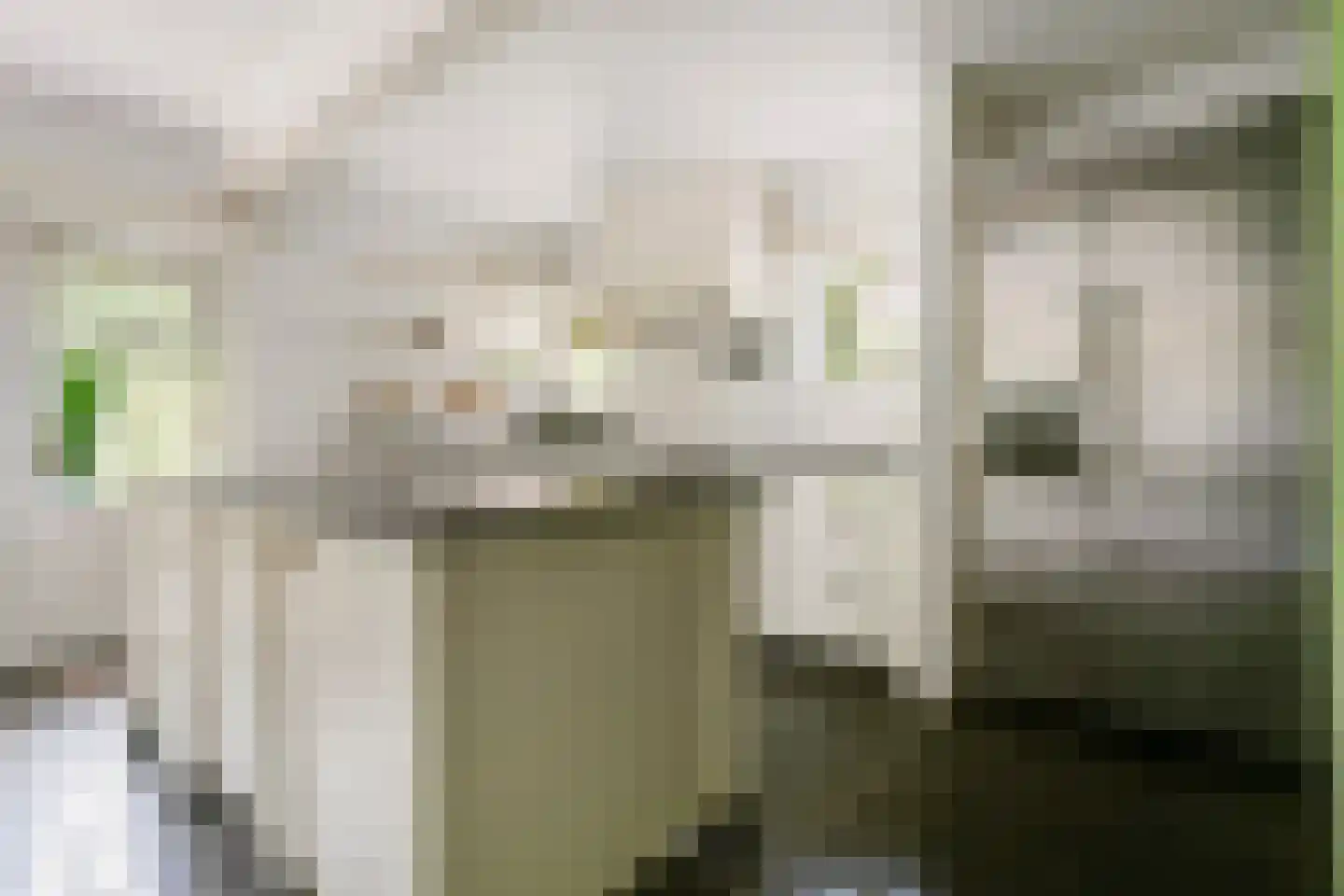 Stroband 38 Wijk bij Duurstede thumbnail 14