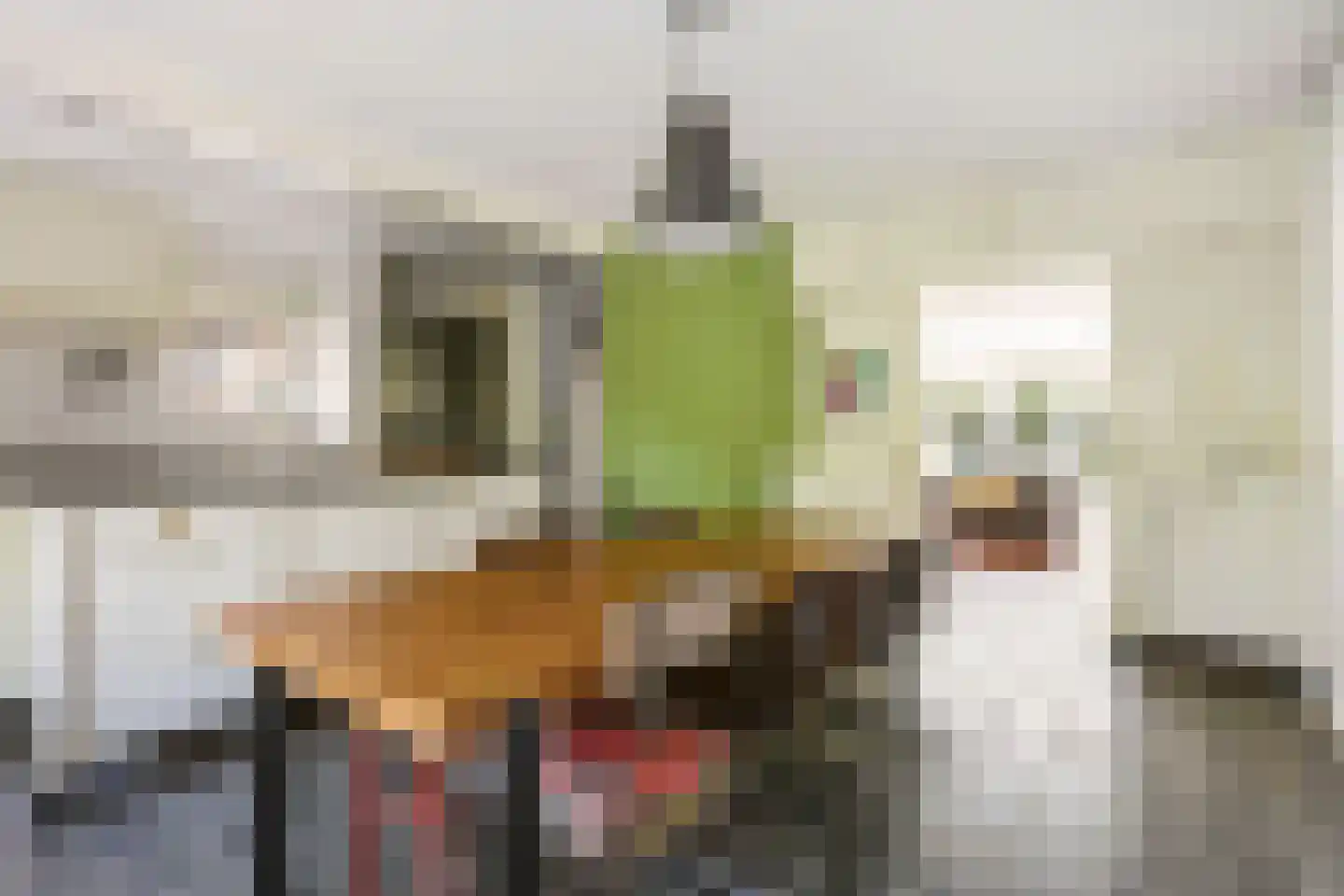 Stroband 38 Wijk bij Duurstede thumbnail 17