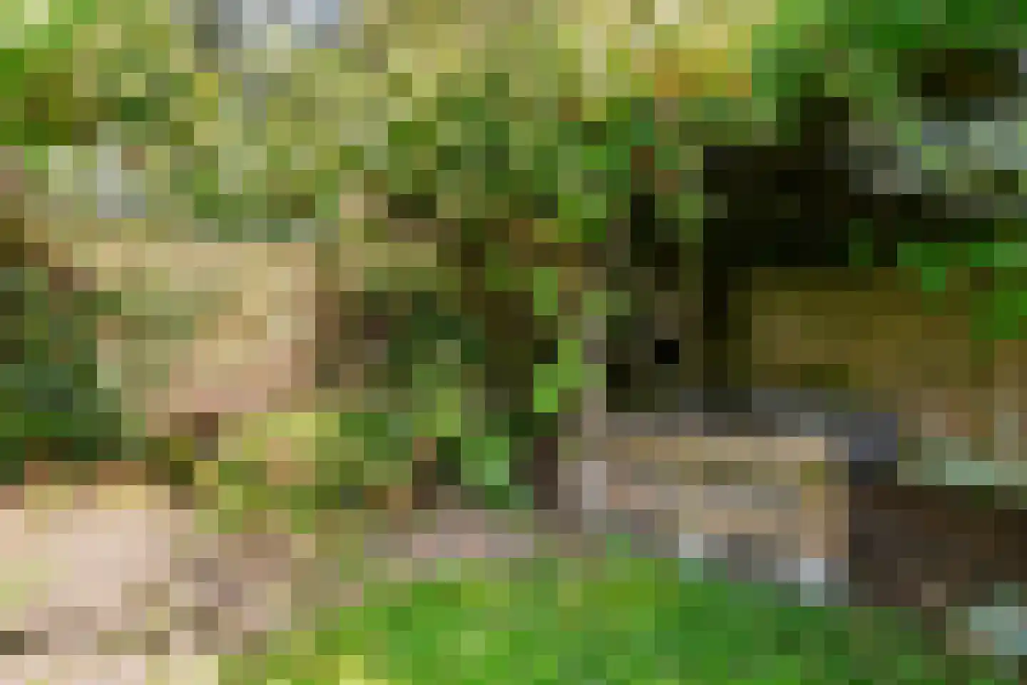 Stroband 38 Wijk bij Duurstede thumbnail 31