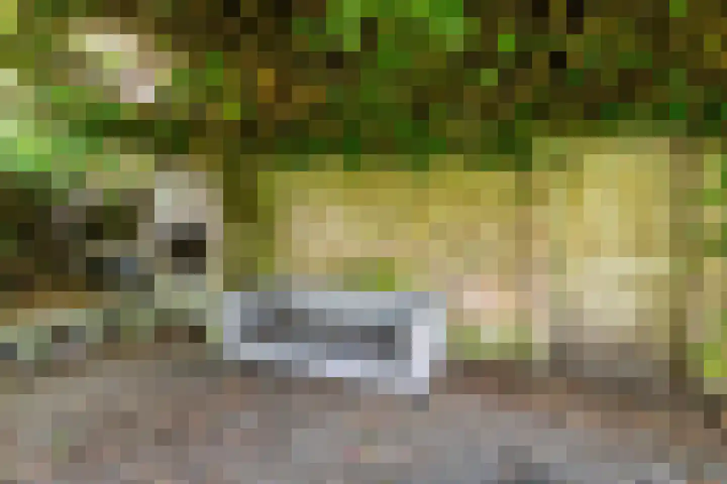 Stroband 38 Wijk bij Duurstede thumbnail 32