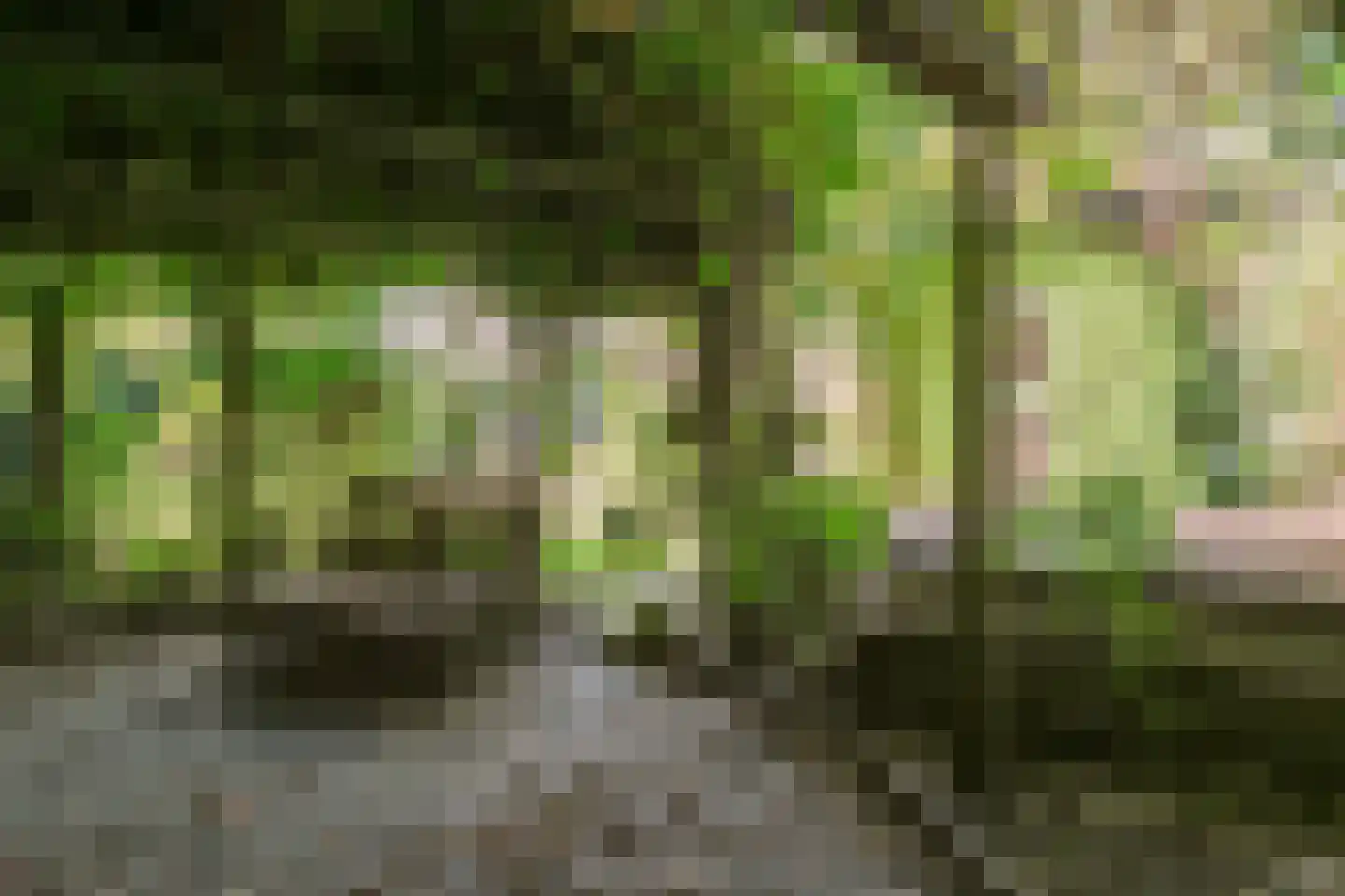 Stroband 38 Wijk bij Duurstede thumbnail 33
