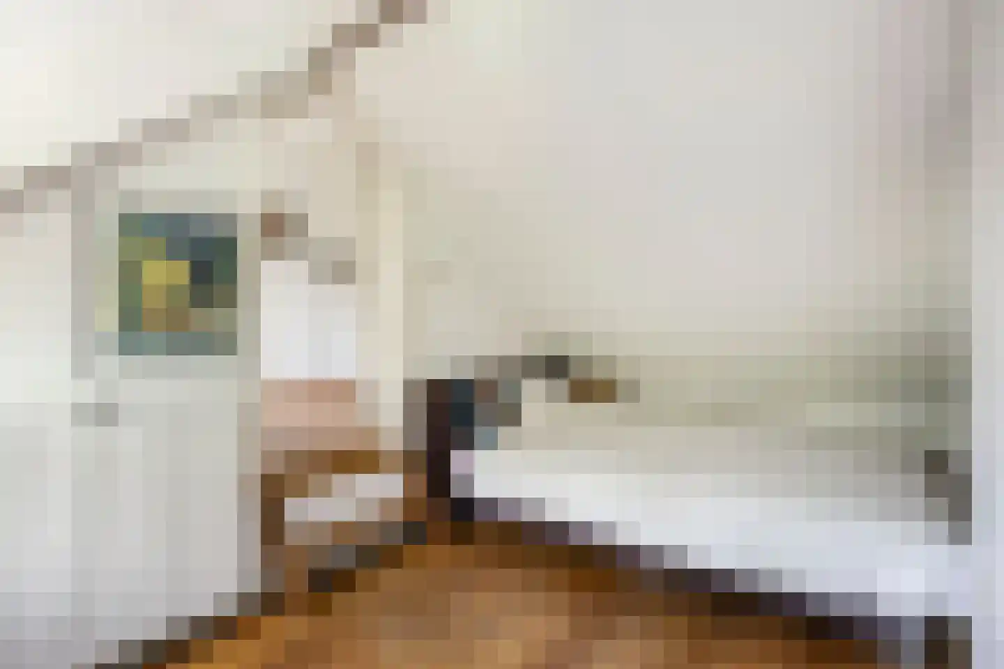 Stroband 38 Wijk bij Duurstede thumbnail 46