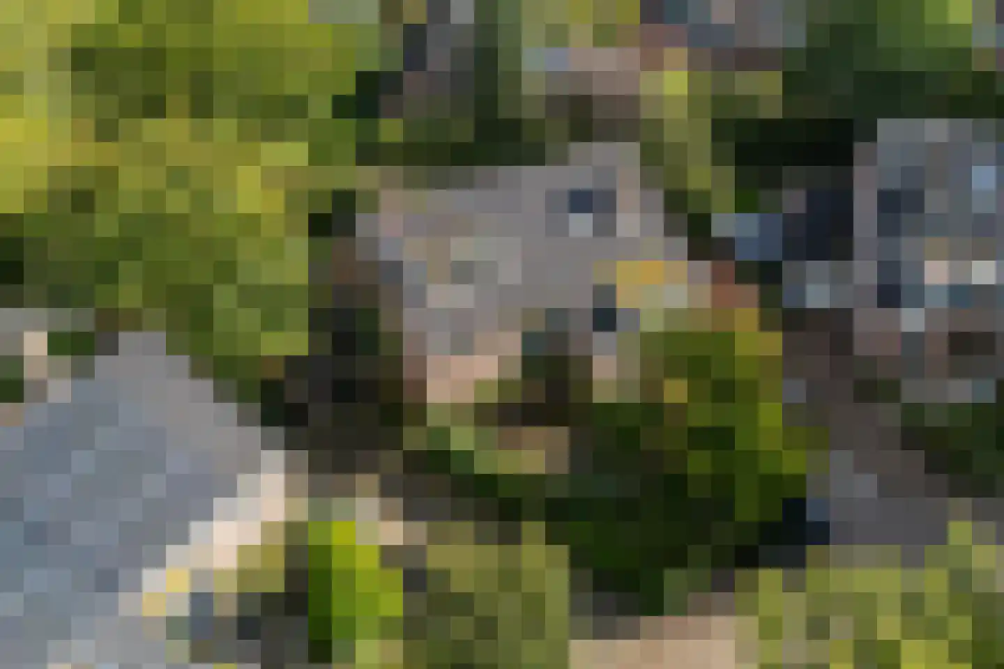 Stroband 38 Wijk bij Duurstede thumbnail 59