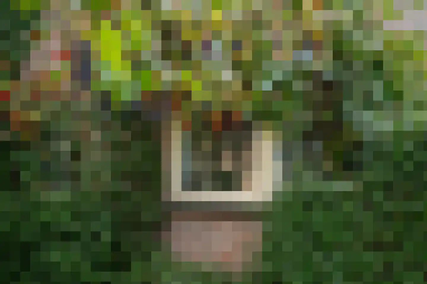 Stroband 38 Wijk bij Duurstede thumbnail 6