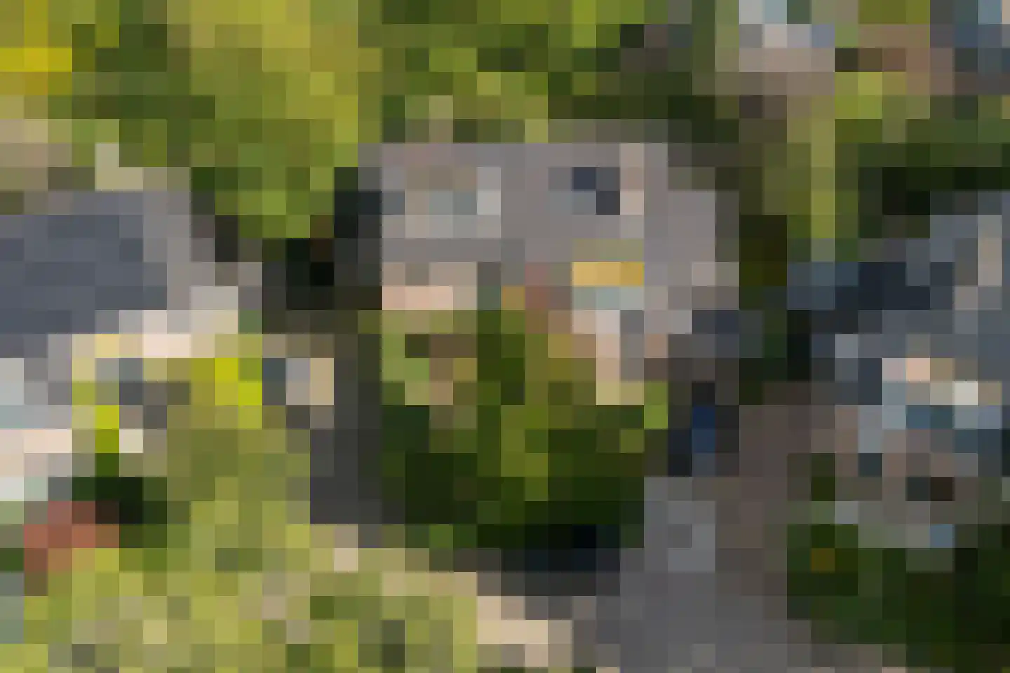 Stroband 38 Wijk bij Duurstede thumbnail 60