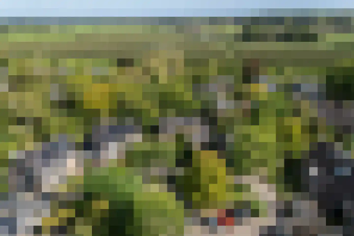 Stroband 38 Wijk bij Duurstede thumbnail 61
