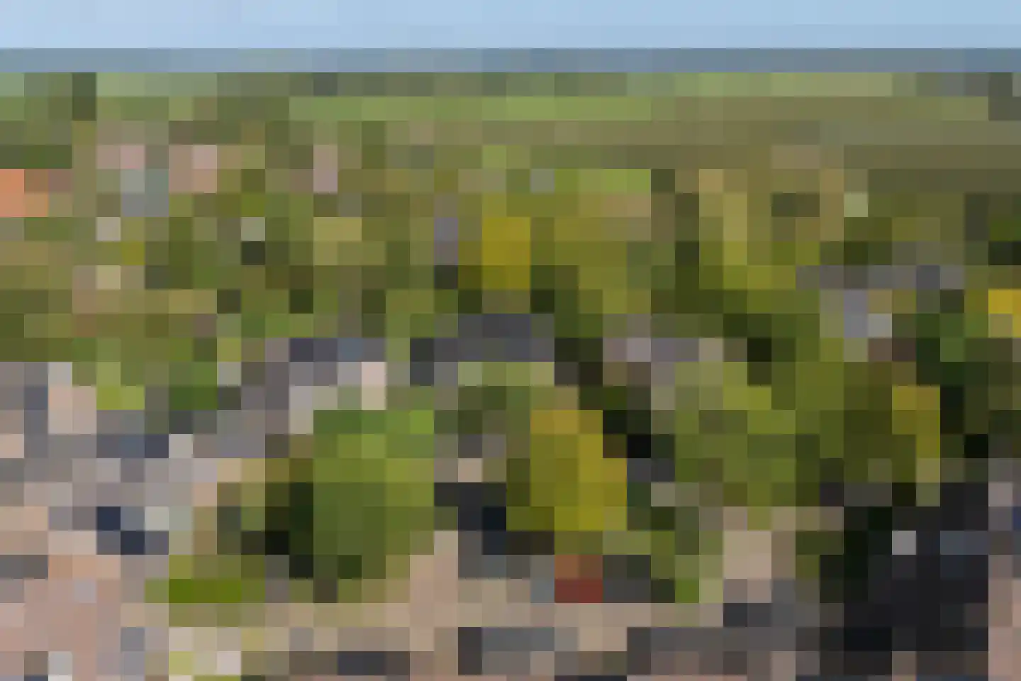 Stroband 38 Wijk bij Duurstede thumbnail 62