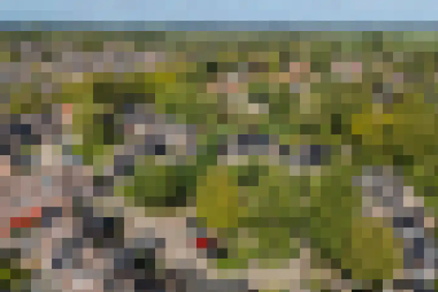 Stroband 38 Wijk bij Duurstede thumbnail 63