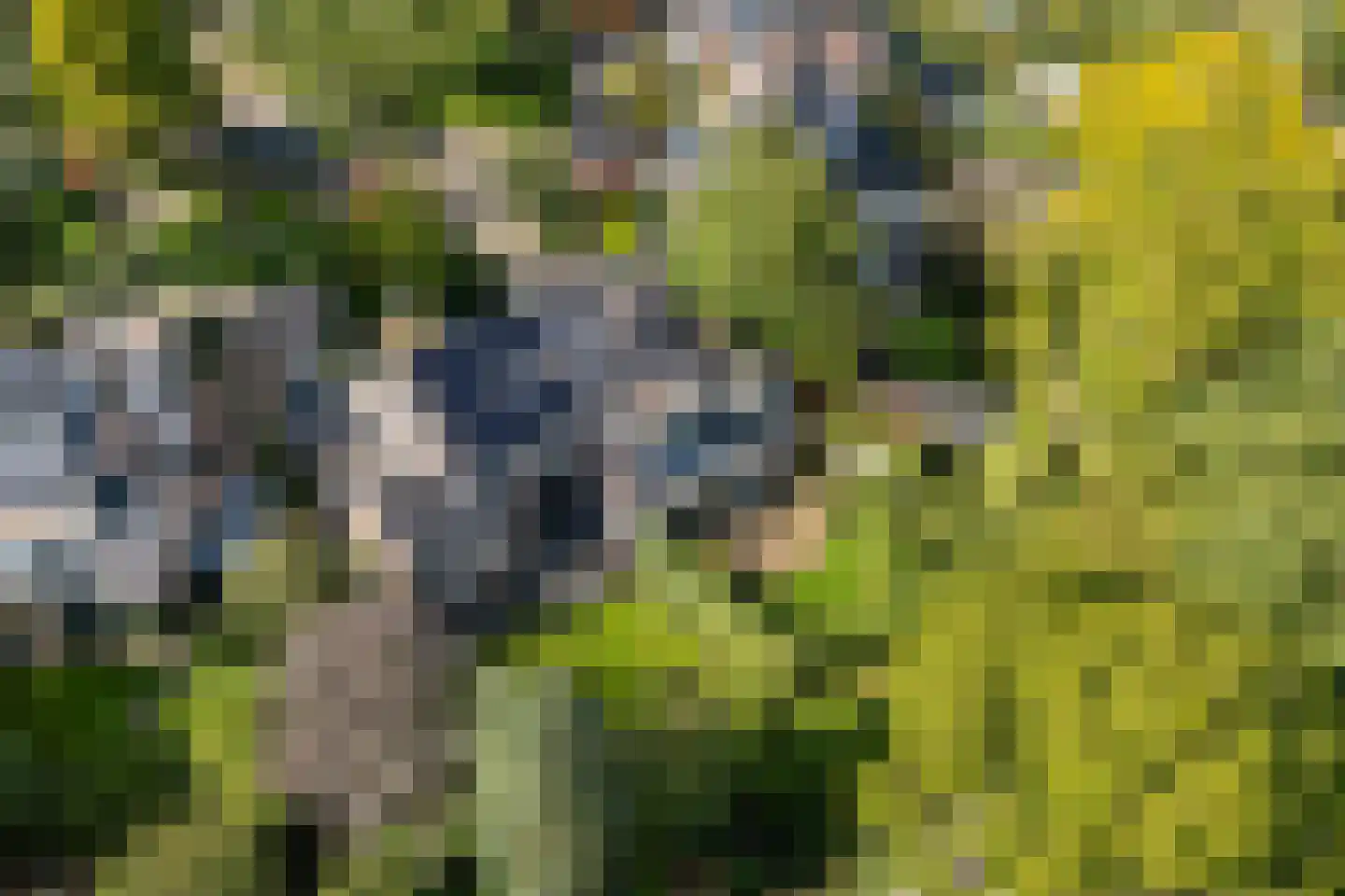 Stroband 38 Wijk bij Duurstede thumbnail 64