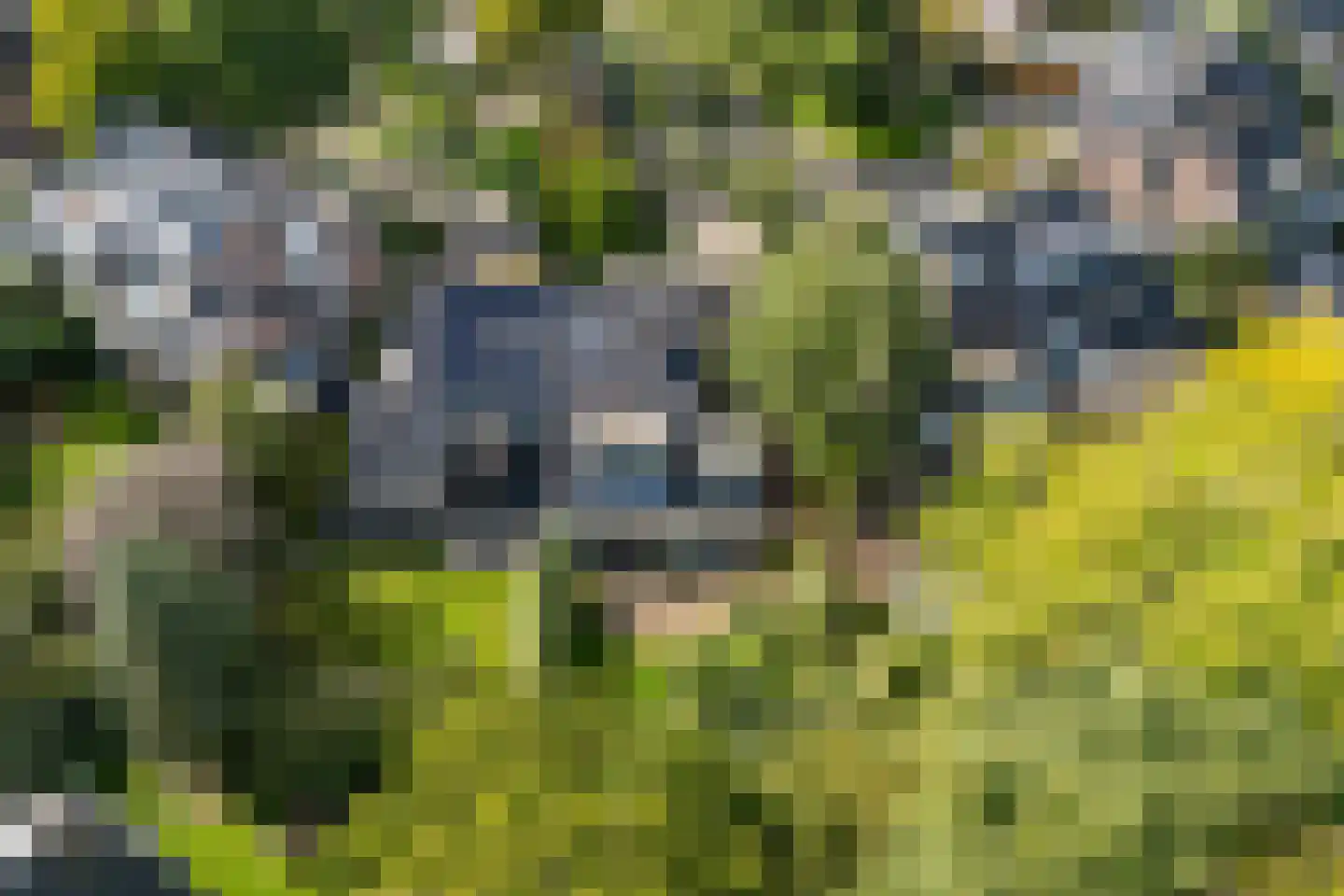 Stroband 38 Wijk bij Duurstede thumbnail 65