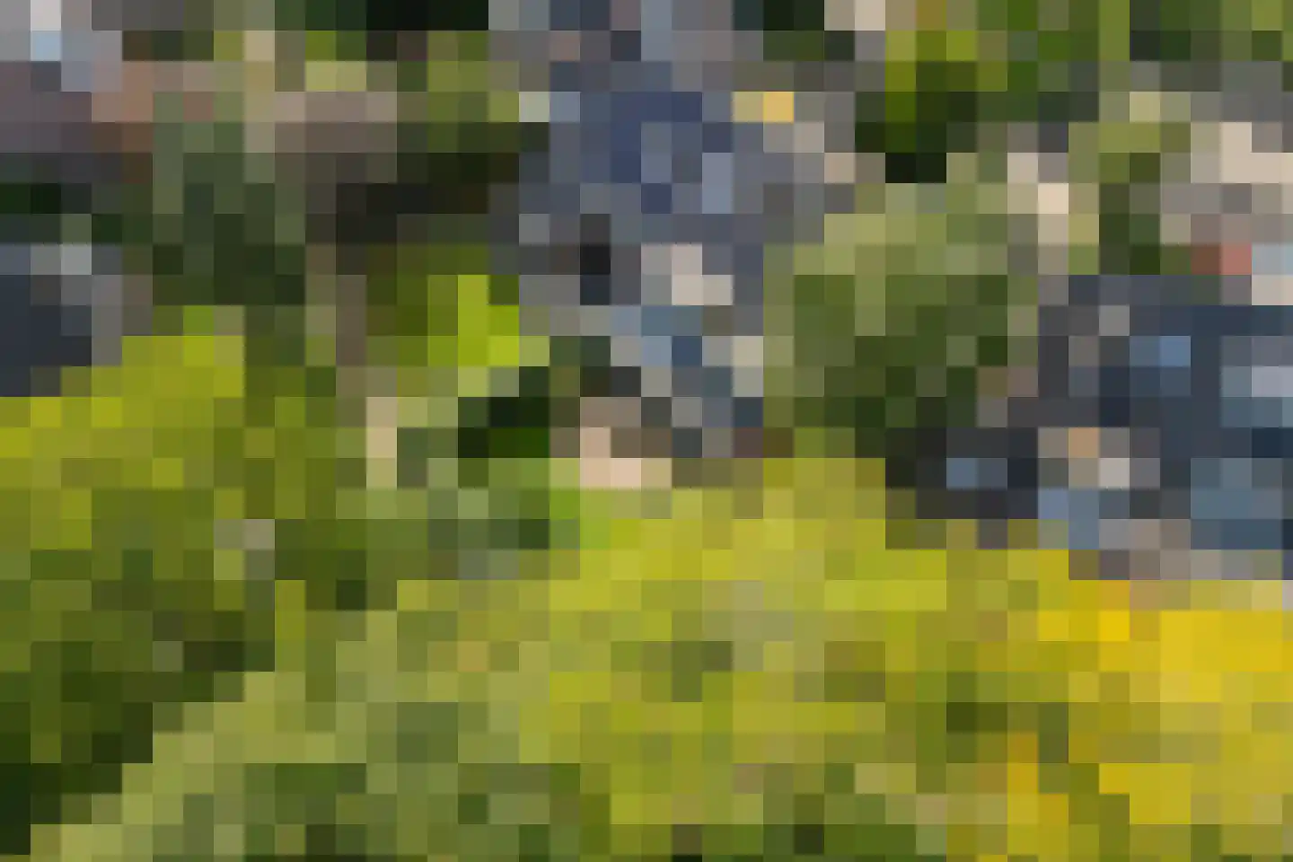 Stroband 38 Wijk bij Duurstede thumbnail 67