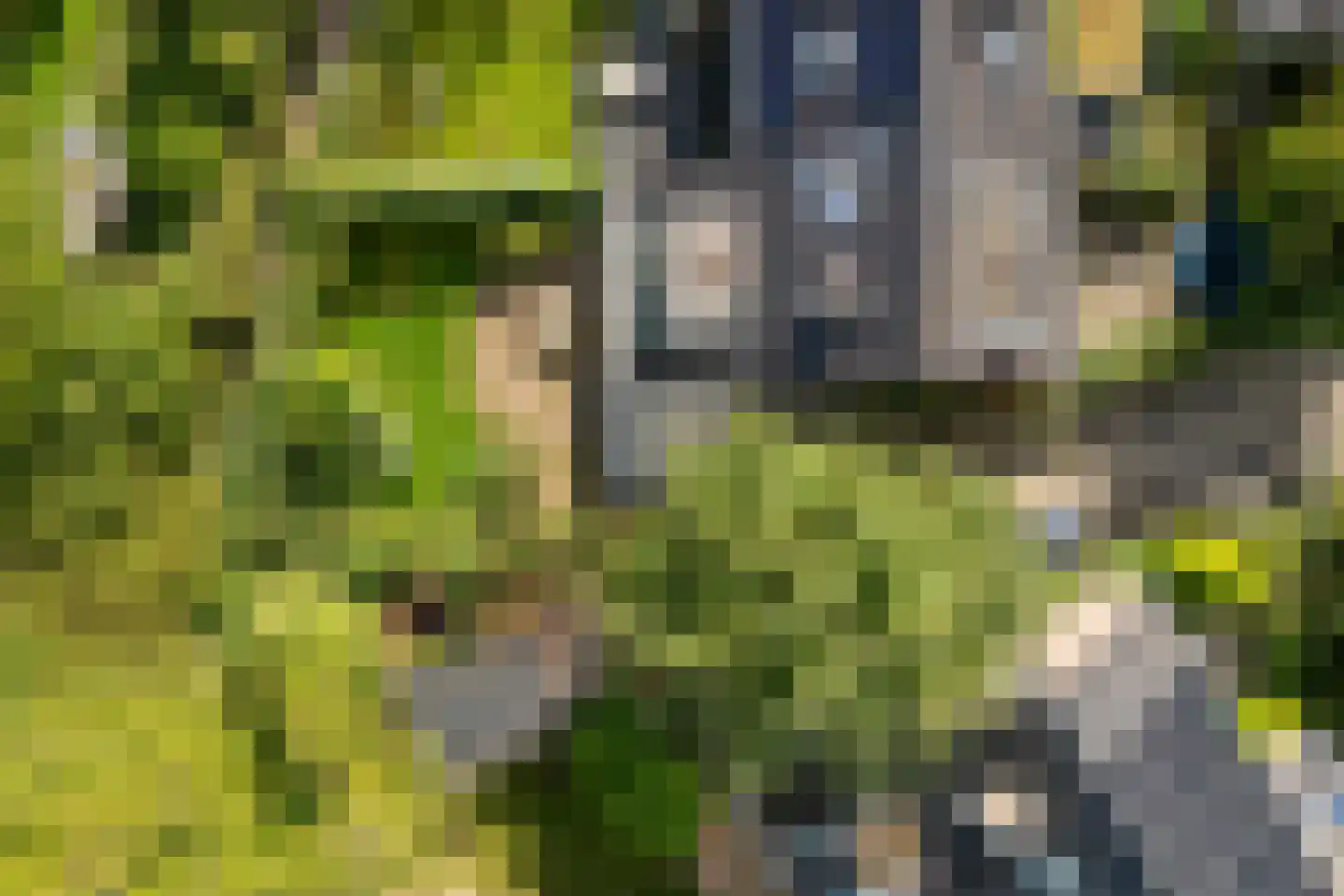 Stroband 38 Wijk bij Duurstede thumbnail 68